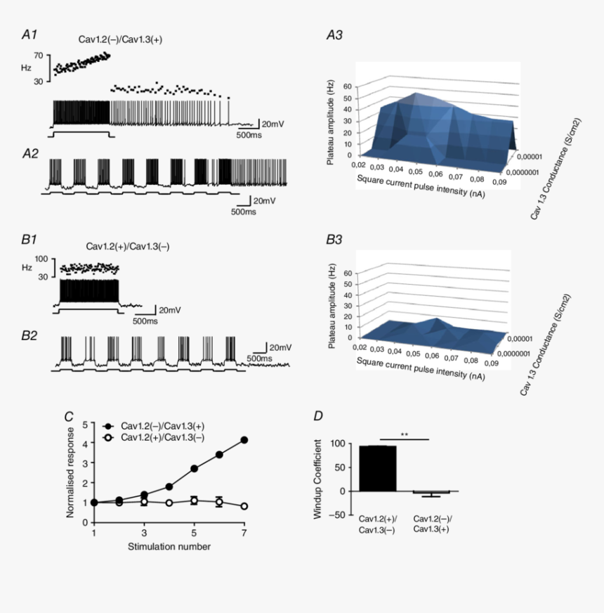 Diagram, HD Png Download