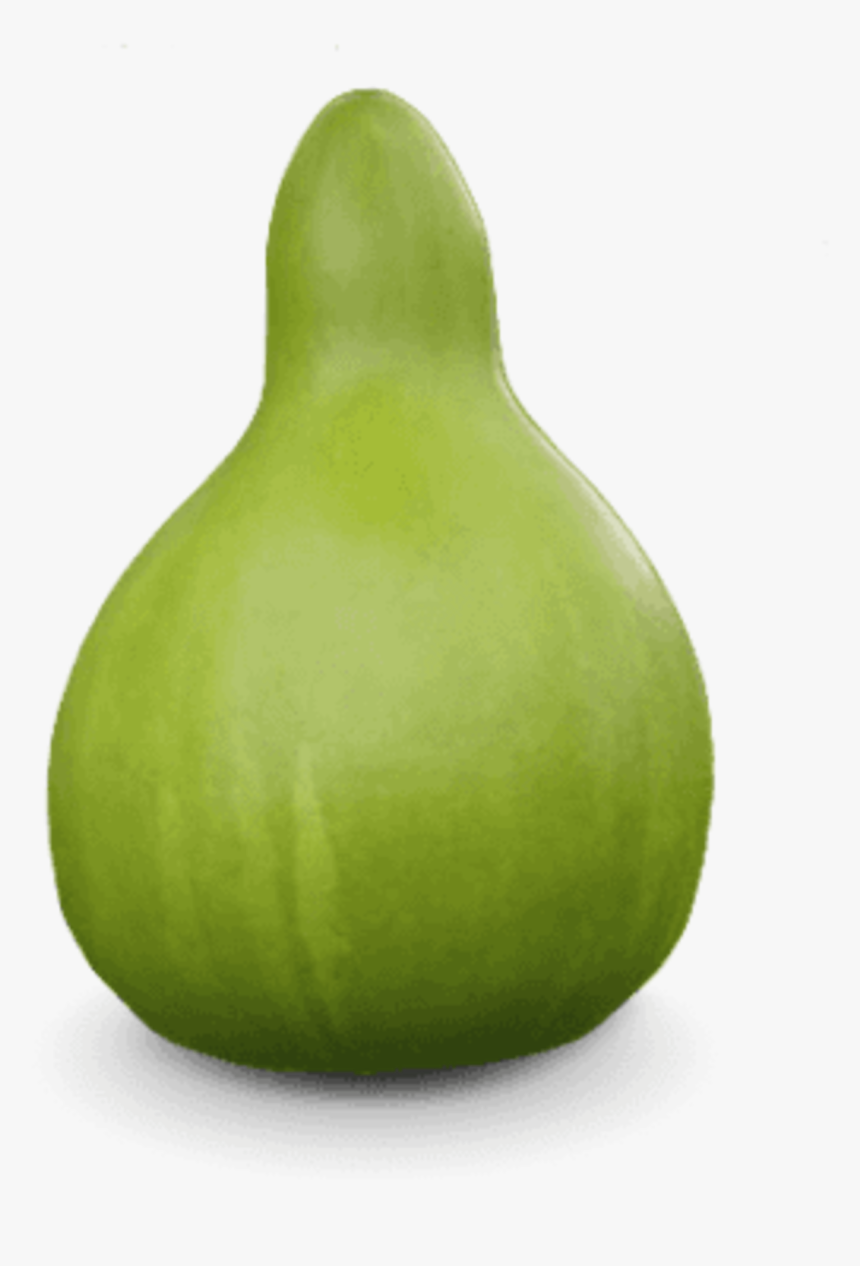 Chayote, HD Png Download