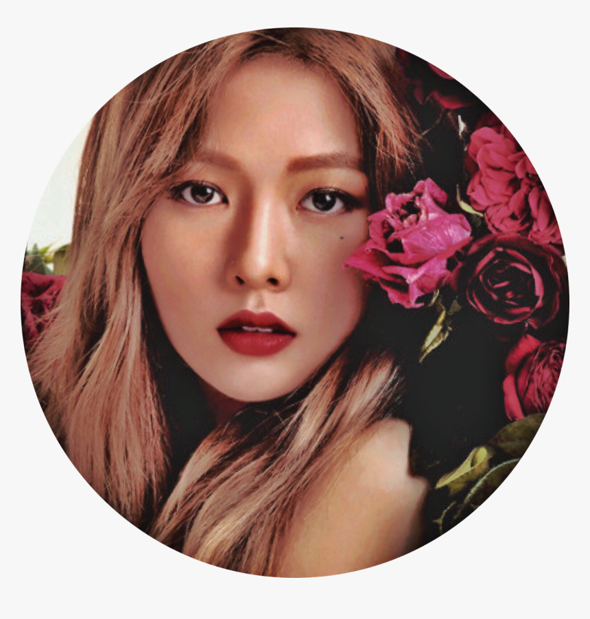 Mediocre Kpop Edits~ Hyuna X Beige Aesthetic Icons~ - Rose Edit Icons, HD Png Download