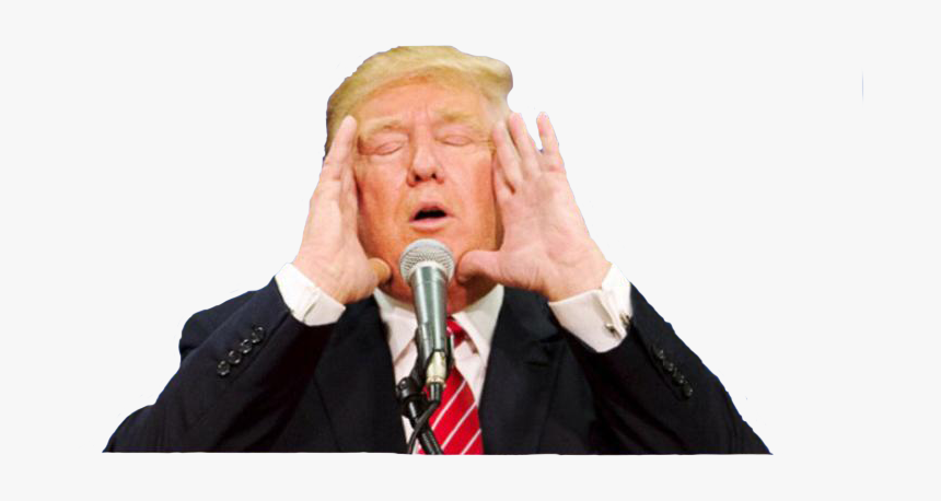 Donald Trump Png, Transparent Png