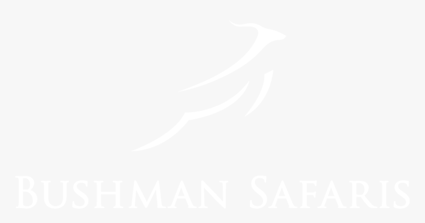 Johns Hopkins White Logo, HD Png Download