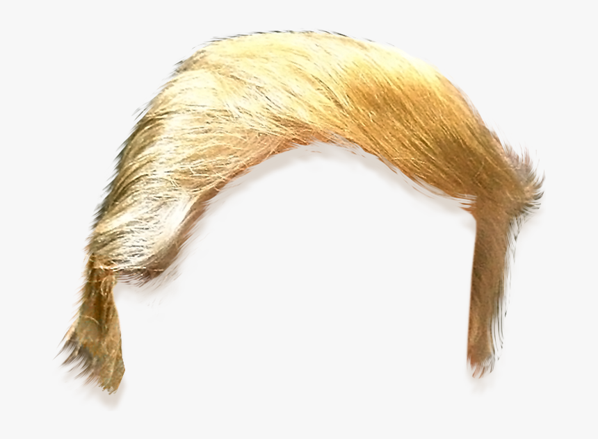 Donald Trumps Hair Png, Transparent Png