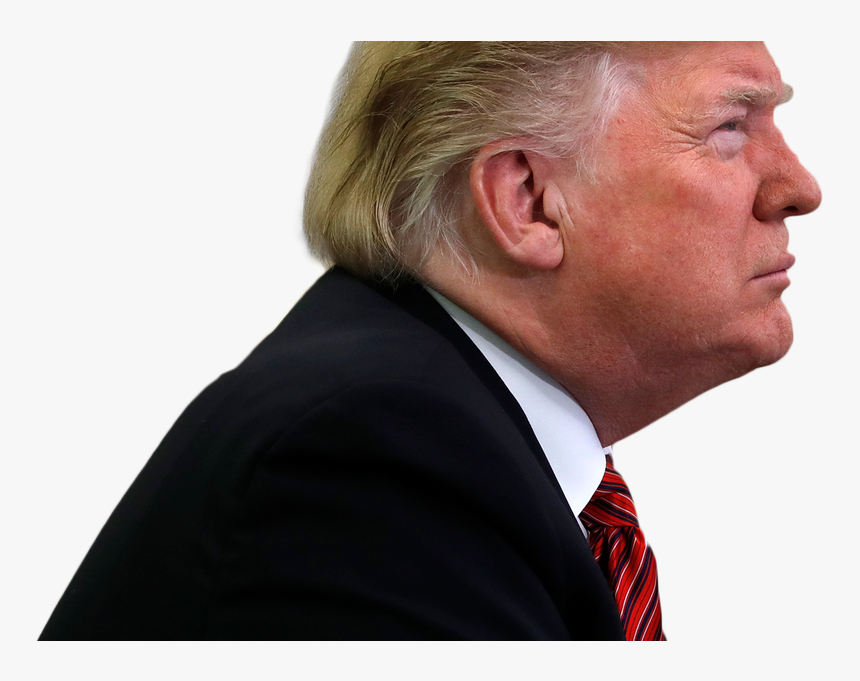 Update Offers Dreamers Protection - Transparent Trump Png, Png Download
