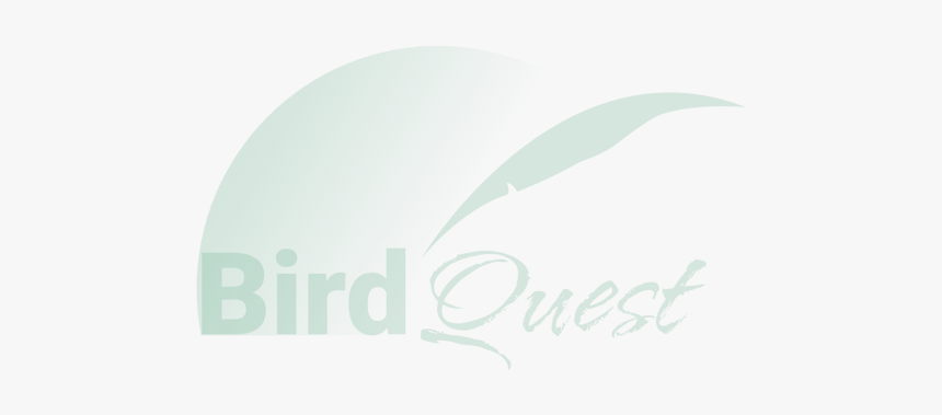 Raggiana - Brushstroke Creatives, HD Png Download