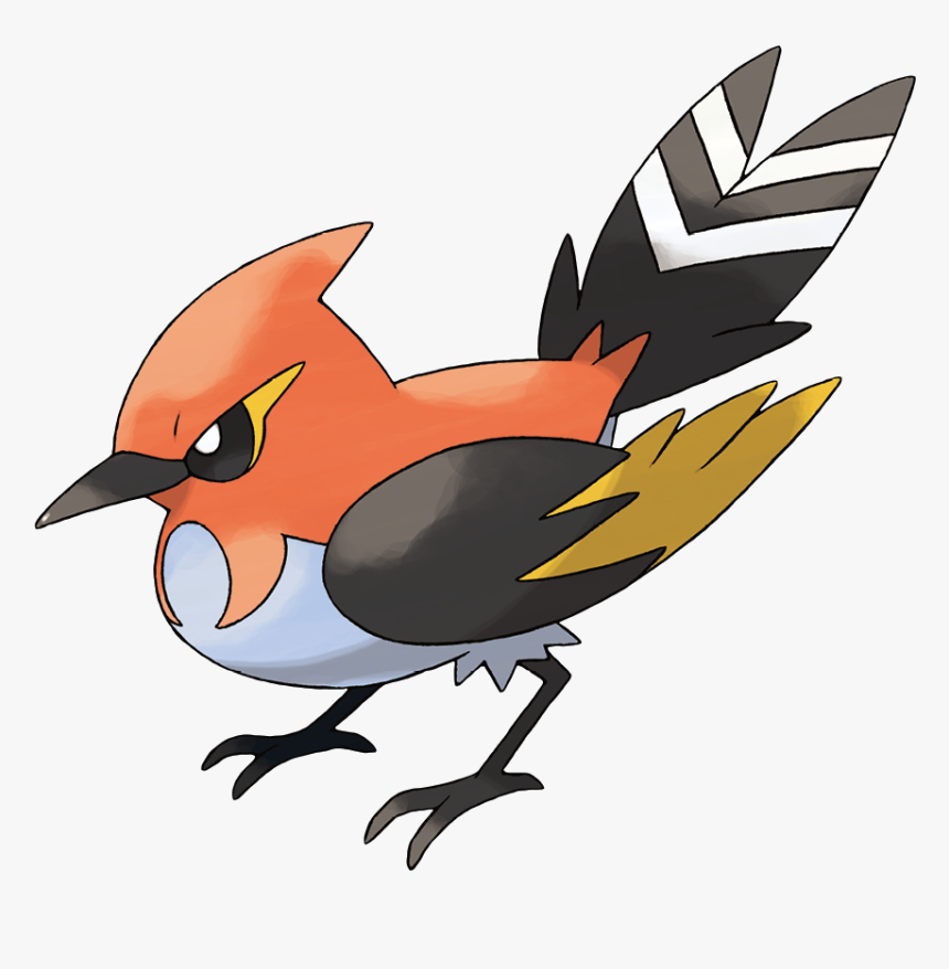 Fletchinder - Pokemon Fletchinder, HD Png Download