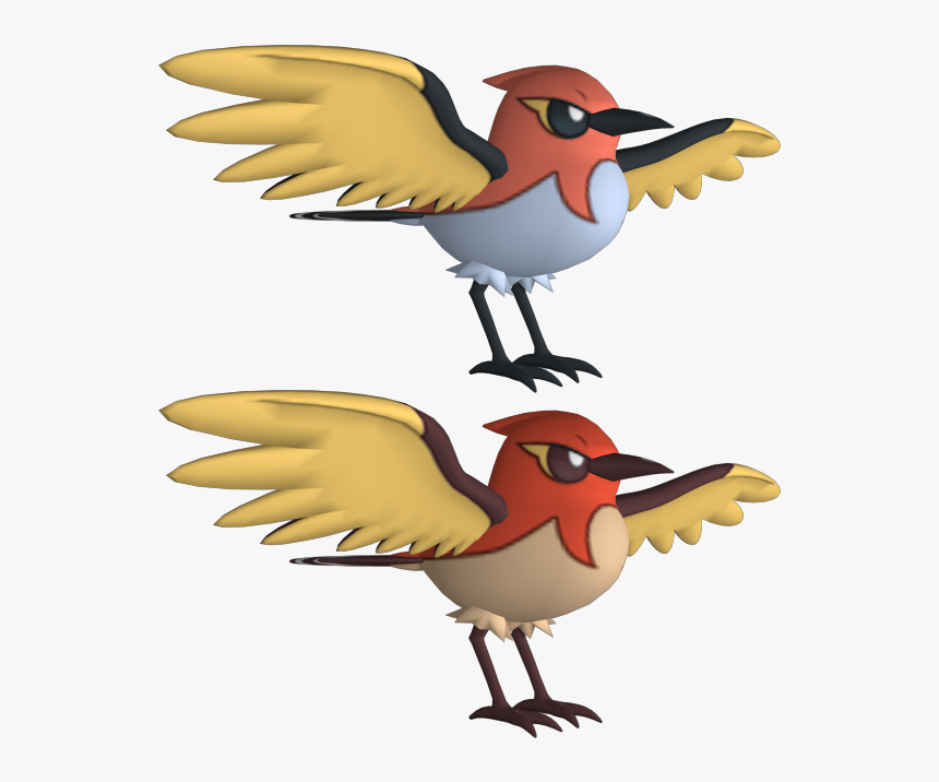 Download Zip Archive - European Robin, HD Png Download