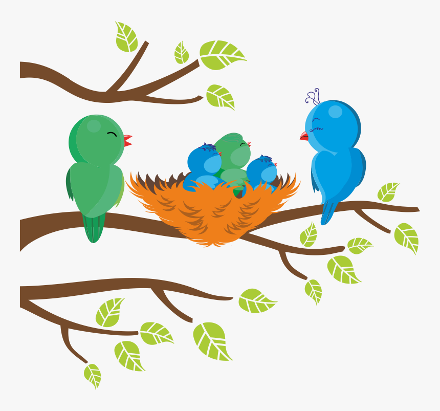 43 Cm De Ancho, HD Png Download