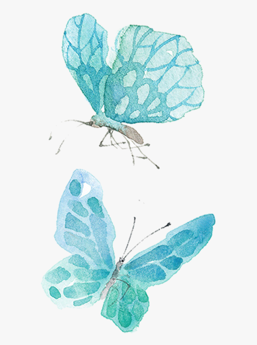 Ai Vector Watercolor Butterfly - Watercolour Butterfly No Background, HD Png Download