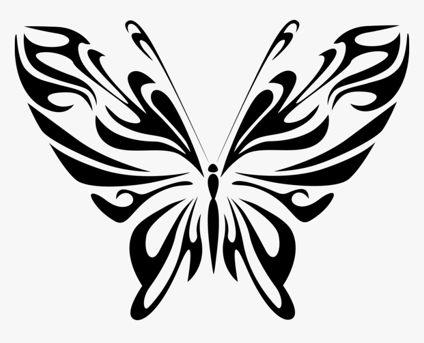 Resumen, Animales, Negro, Mariposa, Mosca, Insectos - Butterfly Images Line Art, HD Png Download
