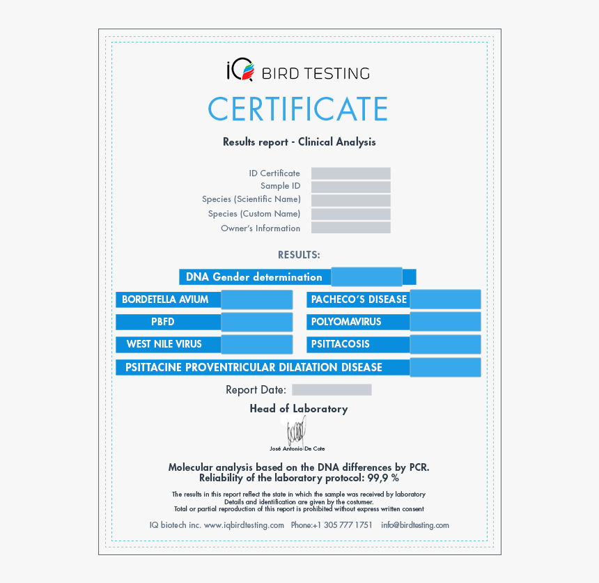 Iq Bird Testing Sample Results, HD Png Download