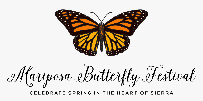 Mariposa - Mariposa Butterfly, HD Png Download