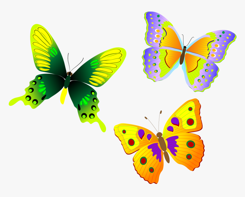 Monarch Butterfly Euclidean Vector - Clip Art Butterfly Design, HD Png Download