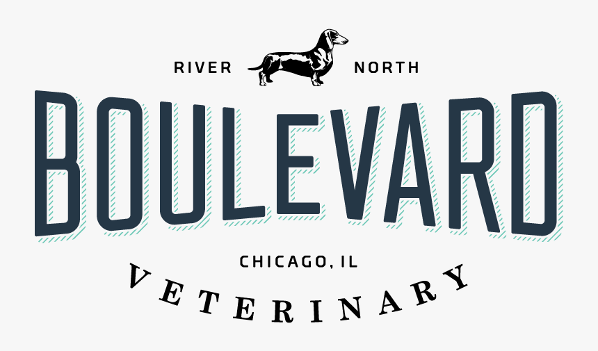 Blvd Vet Logo Rivernorth Finals 01 - Stallion, HD Png Download