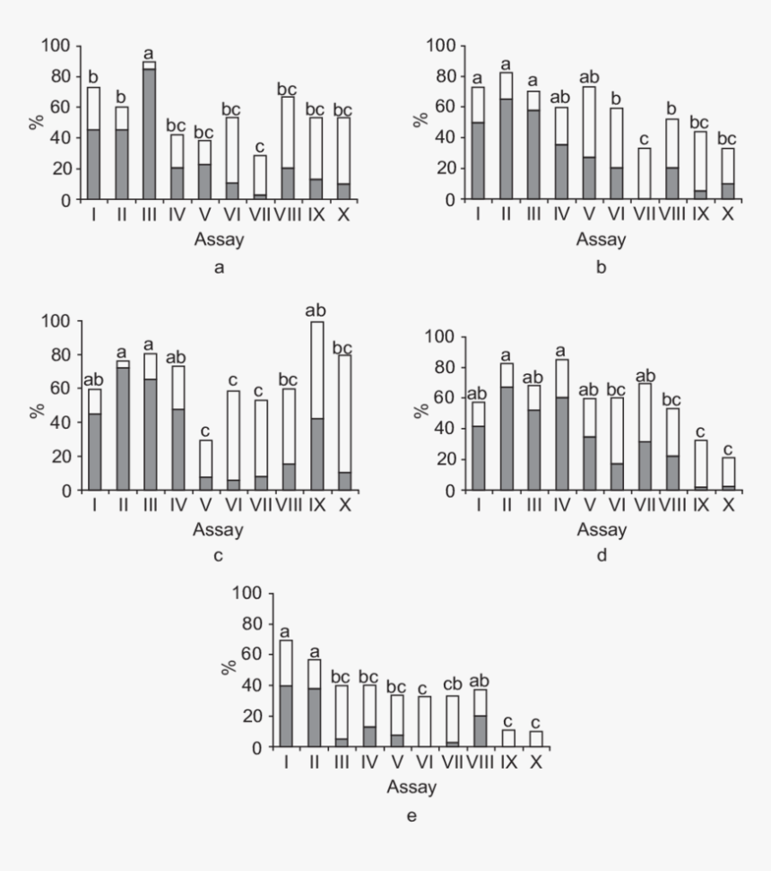 Diagram, HD Png Download