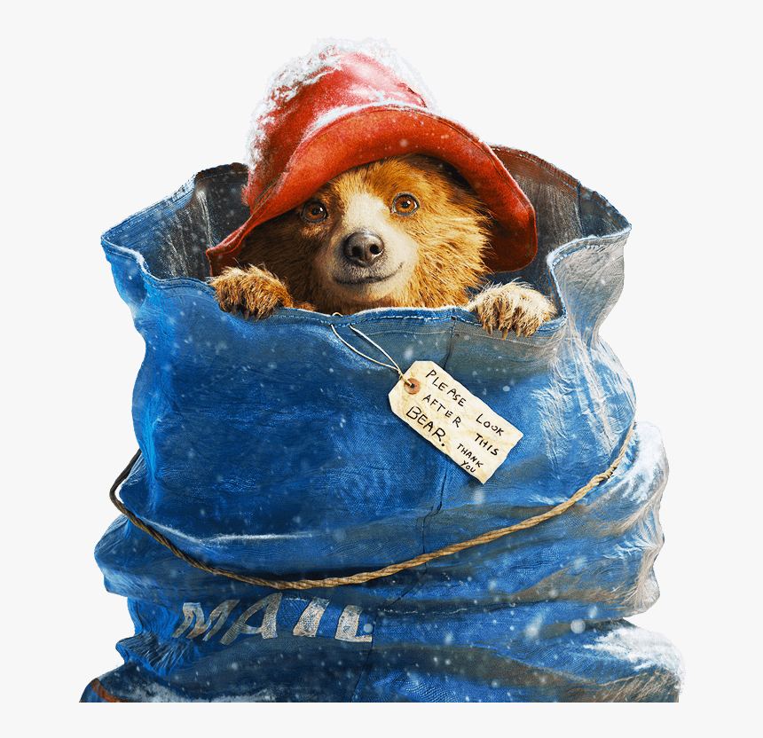 Paddington Hero - Paddington Bear In A Sack, HD Png Download