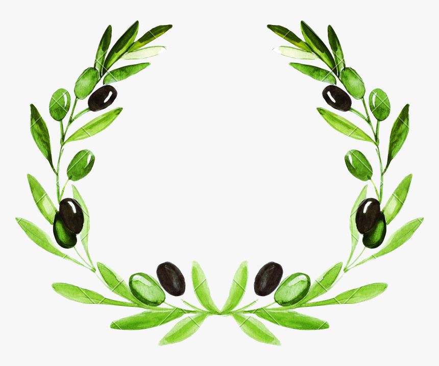 Olive Wreath Background Png, Transparent Png