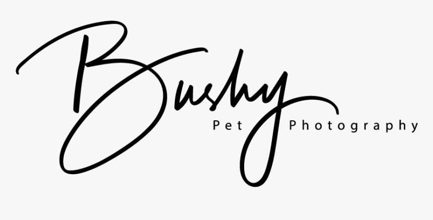 Calligraphy, HD Png Download