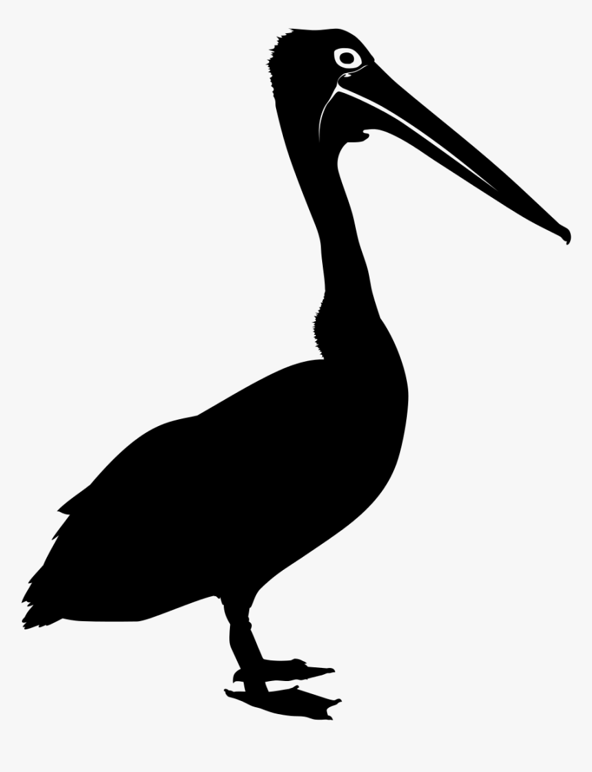 Bird Australian Pelican Silhouette Clip Art - Pelicano Silueta Png, Transparent Png