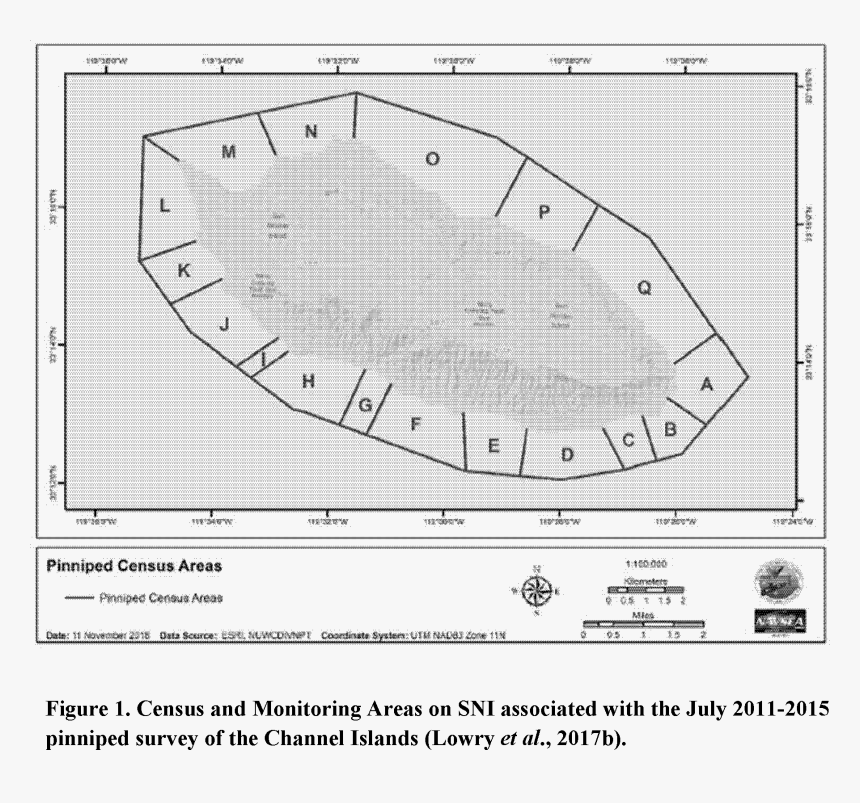 Diagram, HD Png Download