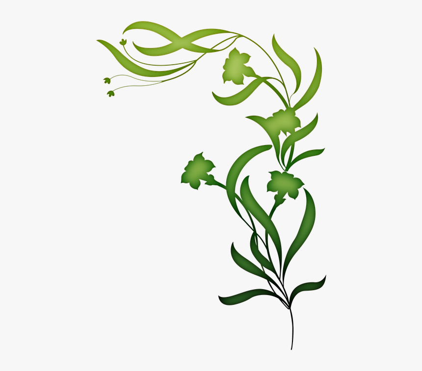 images Flower Vine Clipart Black And White transparent fall leaves corner border