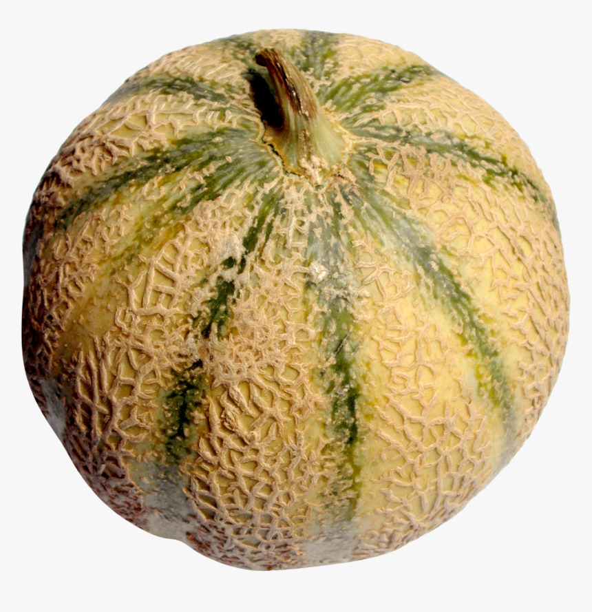 Melon Png - Melon, Transparent Png