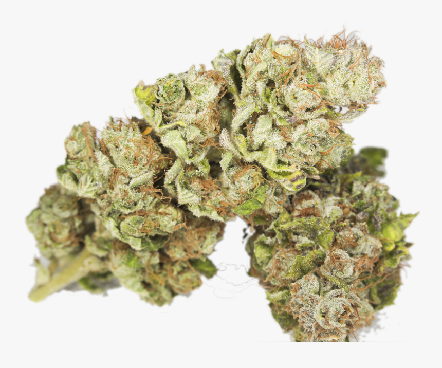 Weed - Purple Bruce Banner Weed, HD Png Download