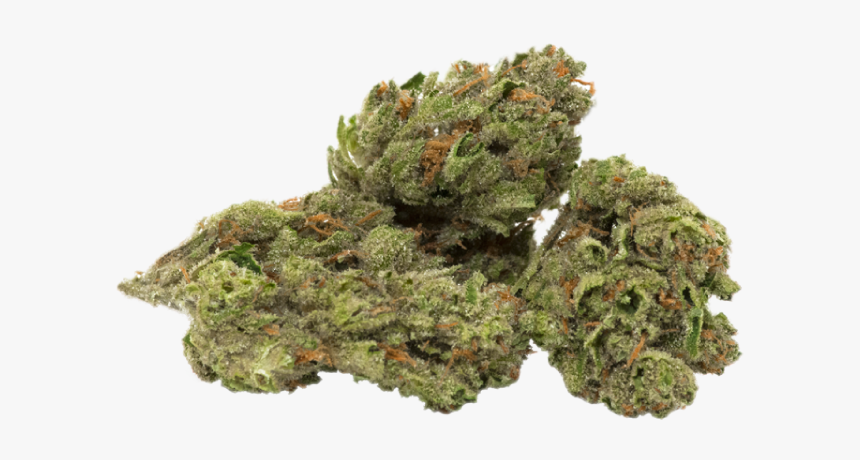 Moss, HD Png Download