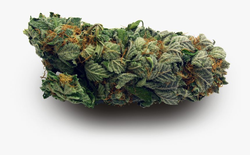 Im Too High For This Shit, HD Png Download