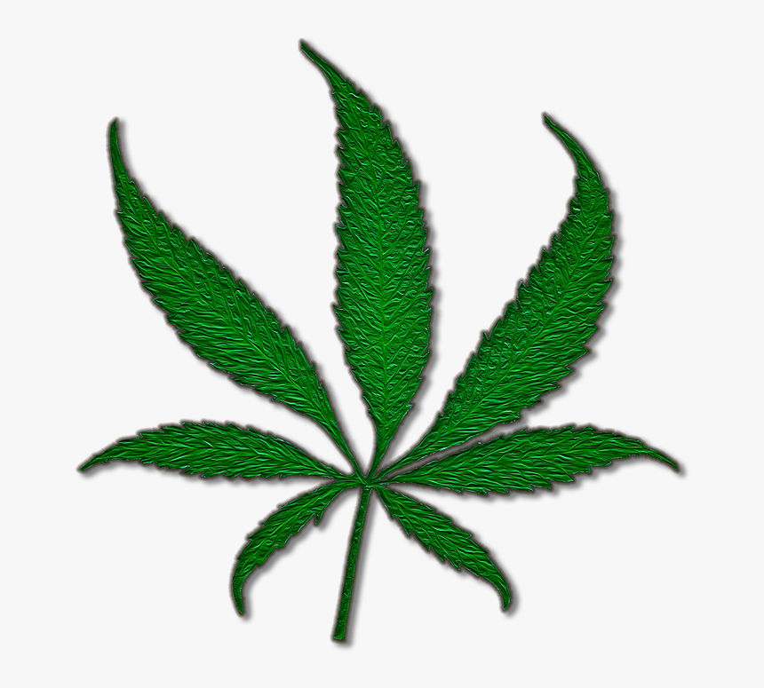 Medical Cannabis Marijuana Joint Cannabis Sativa - Pot Leaf Shower Curtain, HD Png Download