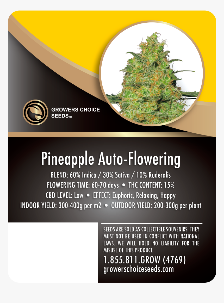 Bubble Gum Auto Weed, HD Png Download