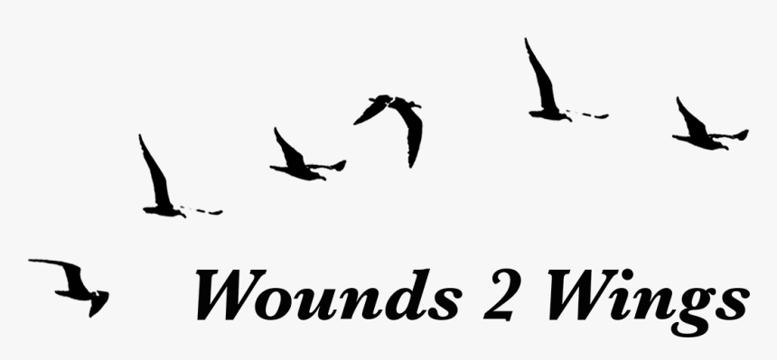 Picture - Trevo, HD Png Download