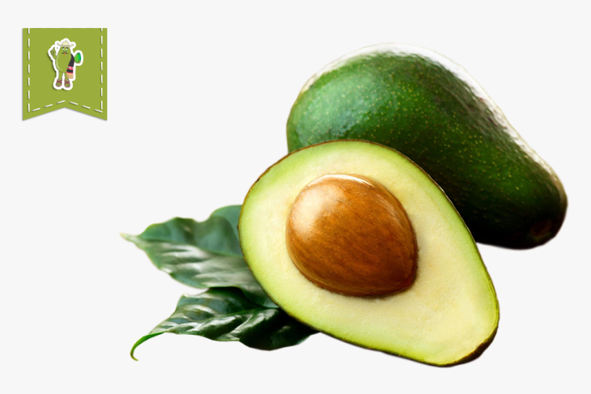 Organic Hass Avocado Frhomimexfrhomimex - Aguacate Png, Transparent Png