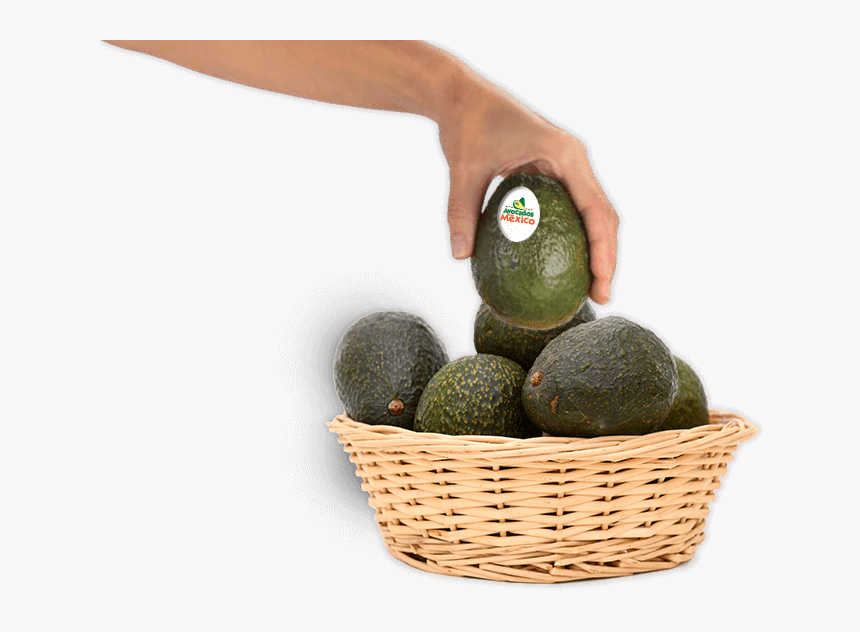 Avocado, HD Png Download