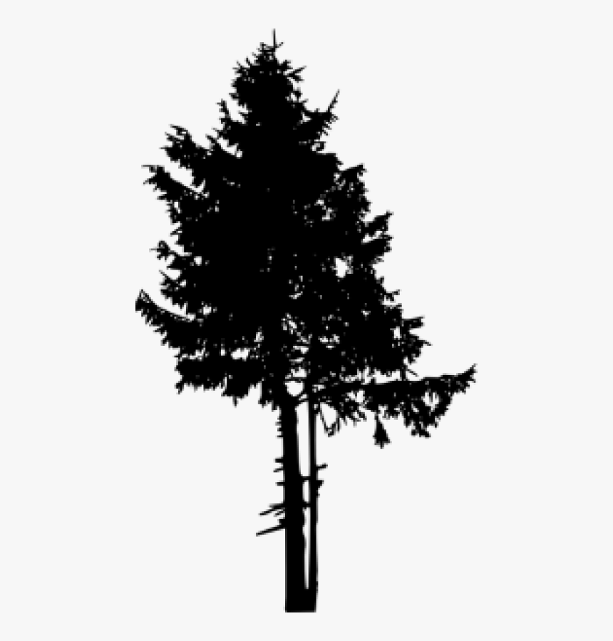 Pine Tree Png Free - Tree Silhouette Fall Transparent, Png Download