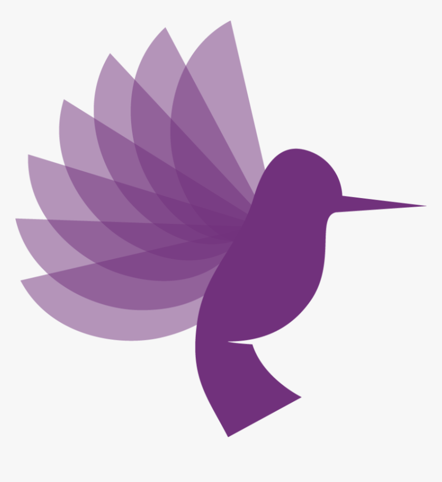 Hummingbird, HD Png Download