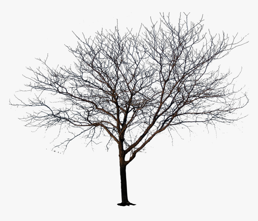 Lucien Parker Impossible, HD Png Download