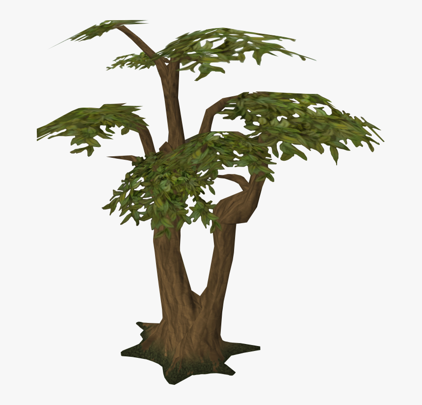 Woodcutting Runescape Wiki Fandom - Runescape Tree, HD Png Download