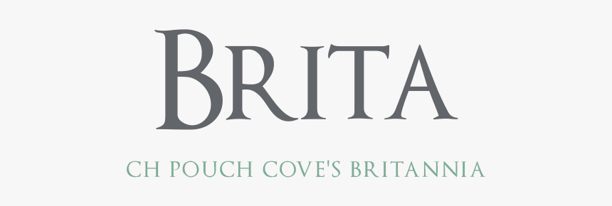 Brita - Indian Boutique, HD Png Download