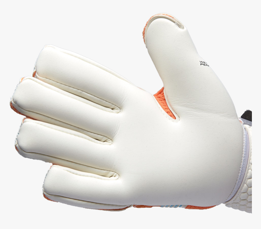 Sells Silhouette Elite Aqua Campione - Leather, HD Png Download