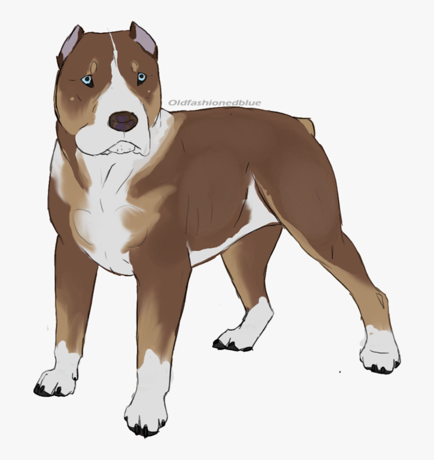 American Staffordshire Terrier American Pit Bull Terrier - Perro Pitbull Dibujo Png, Transparent Png
