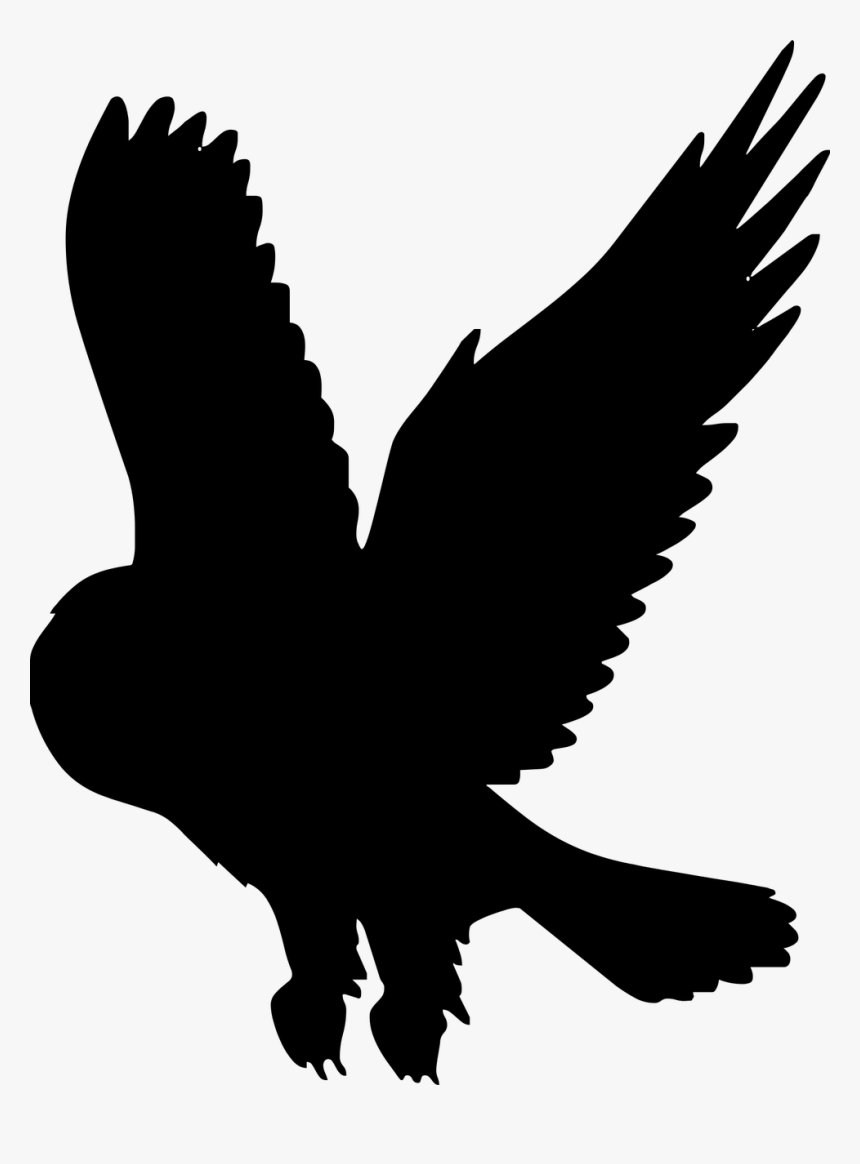Silhouette, Owl, Bird, Nature, Dark - Golden Eagle, HD Png Download