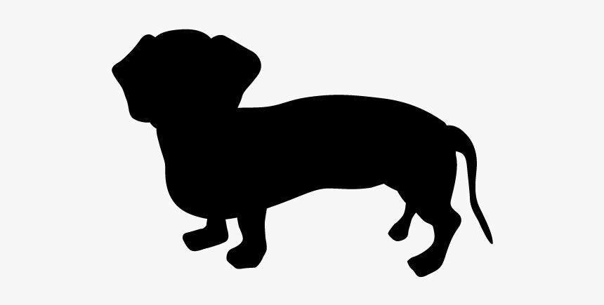 Dachshund Blank And White Png, Transparent Png