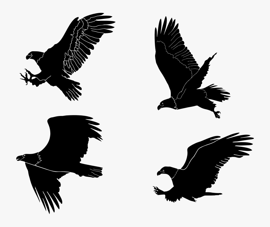 Eagles Silhouettes Set By Rajesh Misra - Transparent Bald Eagle Silhouette, HD Png Download