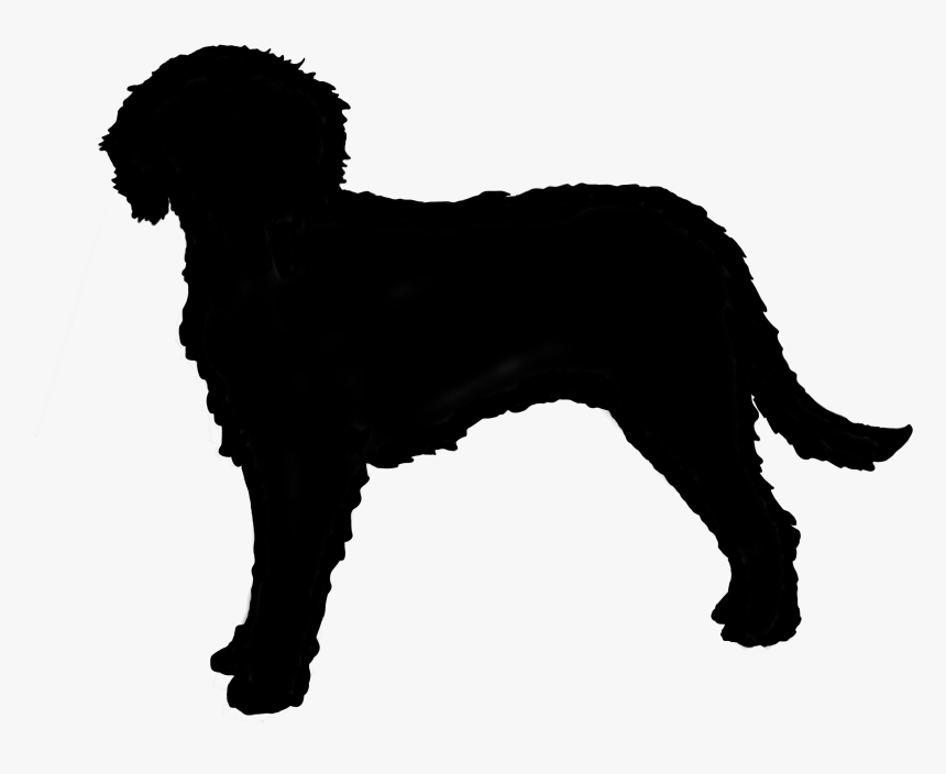 Australian Cobberdog Silhouette - Silhouette Of A Labradoodle, HD Png Download