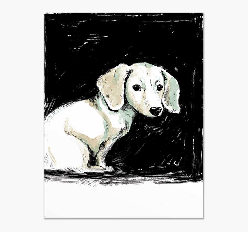 Card Give A Fluff - Labrador Retriever, HD Png Download