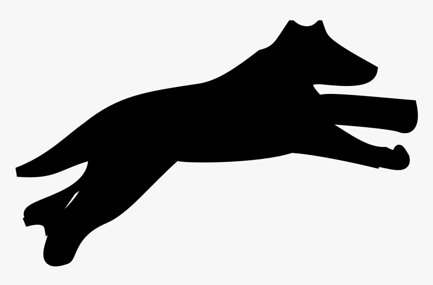 Puppy Maltese Dog Dachshund Bulldog Cat, HD Png Download