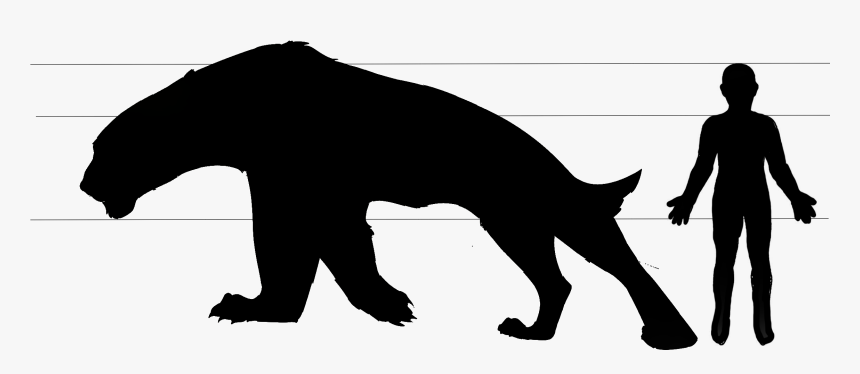 Depending On Their Region Their Food Consists Off Mountain - Dog Catches Something, HD Png Download