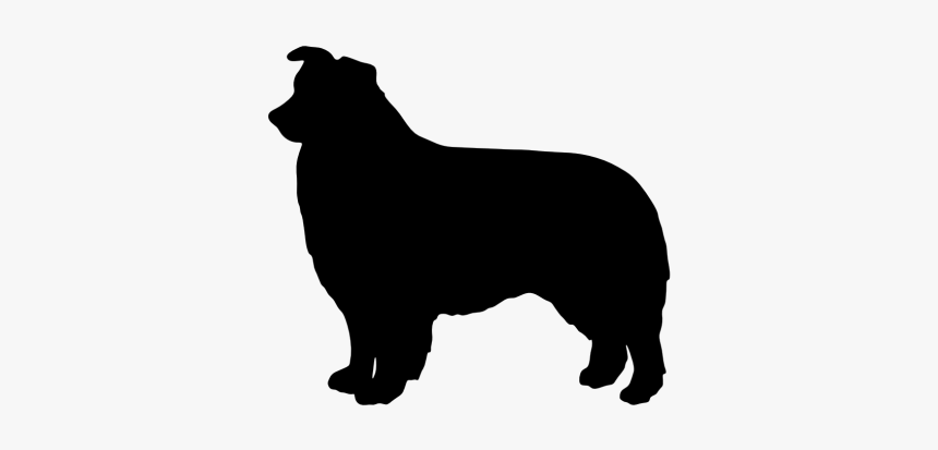 Australian Cattle Dog Silhouette At Getdrawings - Australian Shepherd Silhouette Png, Transparent Png