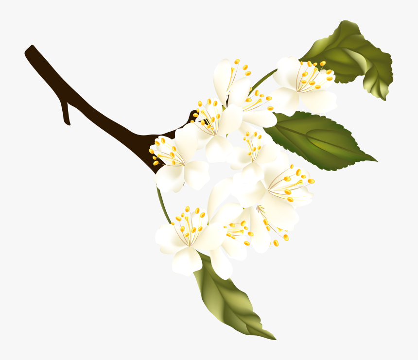 Spring Clipart Png - Portable Network Graphics, Transparent Png