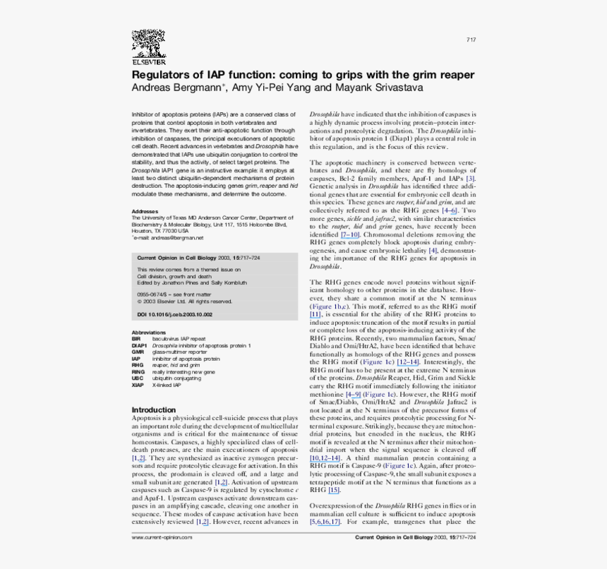 Powerhouse Mechanic, HD Png Download